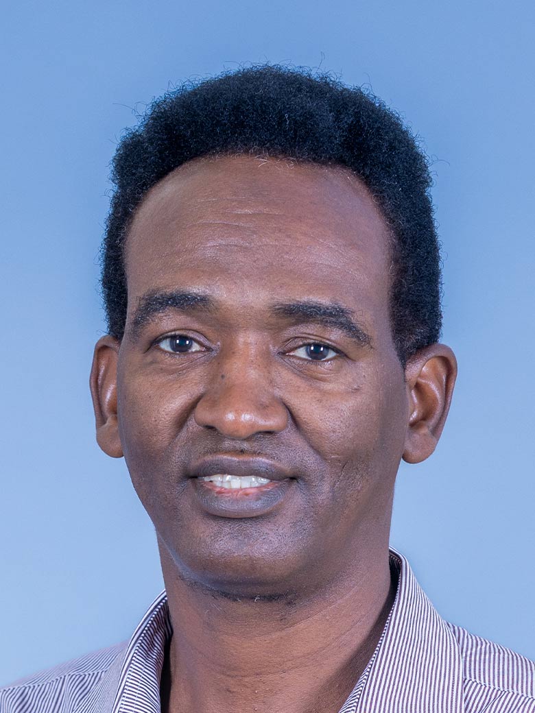 Prof Z Ali